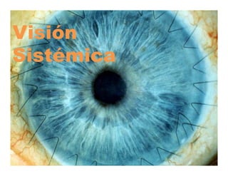 Visión
Sistémica
 