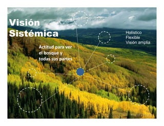 Visión
Sistémica                Holístico
                         Flexible
                         Visión amplia
     Actitud para ver 
           q y
     el bosque y 
     todas sus partes
 