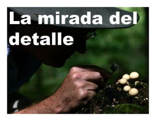 La mirada del
detalle
 