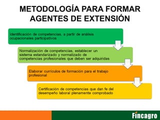 Innovacion con enfoque de mercado incagro fincagro