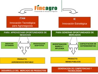 Innovacion con enfoque de mercado incagro fincagro