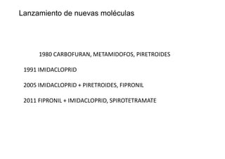 Lanzamiento de nuevas moléculas
1980 CARBOFURAN, METAMIDOFOS, PIRETROIDES
1991 IMIDACLOPRID
2005 IMIDACLOPRID + PIRETROIDES, FIPRONIL
2011 FIPRONIL + IMIDACLOPRID, SPIROTETRAMATE
 