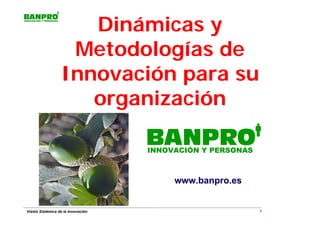 Dinámicas y
                   Metodologías de
                  Innovación para su
                     organización
                                    BANPRO
                                    INNOVACIÓN Y PERSONAS



                                         www.banpro.es


Visión Sistémica de la Innovación                           1   1
 