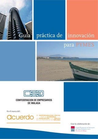 Guía   práctica de innovación
                               para PYMES




En el marco del:




                                  Con la colaboración de:
 