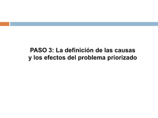PASO 3: La definición de las causas
y los efectos del problema priorizado
 