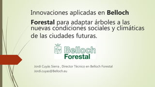 Innovaciones aplicadas en Belloch
Forestal para adaptar árboles a las
nuevas condiciones sociales y climáticas
de las ciud...