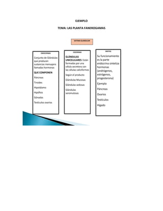 EJEMPLO

                        TEMA: LAS PLANTA FANEROGAMAS


                                    SISTEMA GLANDULAR




                                                                 MIXTAS
                                   EXOCRINAS
      ENDOCRINAS

                            GLÁNDULAS                   Su funcionamiento
Conjunto de Glándulas
que producen                UNICELULARES: Están         es la parte
sustancias mensajero        formadas por una            endocrina sintetiza
llamadas hormonas           célula secretora con        hormonas
                            las células caliciformes    (andrógenos,
QUE COMPONEN
                            Según el producto           estrógenos,
Páncreas                                                progesterona)
                            Glándulas Mucosas
Tiroides                                                Ejemplo
                            Glándulas sedosas
Hipotálamo
                            Glándulas                   Páncreas
Hipófisis                   seromulosas                 Ovarios
Gónadas
                                                        Testículos
Testículos ovarios
                                                        Hígado
 