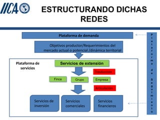 SEMBRANDO INNOVACION PARA COSECHAR PROSPERIDAD: EL ROL DE LA EXTENSION AGRICOLA