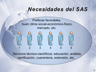 Innovación en los Sistemas de Abastecimiento de Semillas