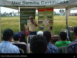 Innovación en los Sistemas de Abastecimiento de Semillas