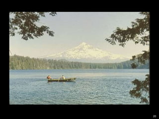 Innovación en los Sistemas de Abastecimiento de Semillas