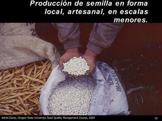 Innovación en los Sistemas de Abastecimiento de Semillas