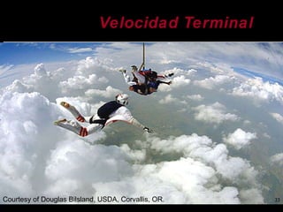 Innovación en los Sistemas de Abastecimiento de Semillas