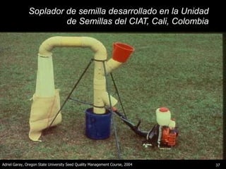 Innovación en los Sistemas de Abastecimiento de Semillas