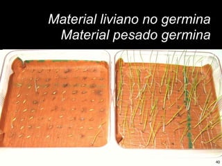 Innovación en los Sistemas de Abastecimiento de Semillas