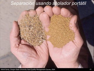 Innovación en los Sistemas de Abastecimiento de Semillas