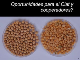 Innovación en los Sistemas de Abastecimiento de Semillas