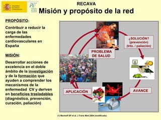 RECAVA
                   Misión y propósito de la red
PROPÓSITO:
Contribuir a reducir la
carga de las
enfermedades                                                                         ¿SOLUCIÓN?
cardiovasculares en                                                                   (prevención)
España                                                                             (trto. / paliación)
                                                                PROBLEMA
MISIÓN:                                                         DE SALUD
Desarrollar acciones de
excelencia en el doble
ámbito de la investigación
y de la formación que
ayuden a comprender los
mecanismos de la
enfermedad CV y deriven                                                                 AVANCE
                                     APLICACIÓN
en beneficios trasladables
(diagnóstico, prevención,
curación, paliación)


                             (1) Mankoff SP et al. J Trans Med 2004 (modificado)
 