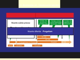 PICI :Estrategia en Cardiopatía Isquemica




 Muerte súbita precoz

Plan de acción contra
   la muerte súbita
                  Muerte diferida Progaliam
 