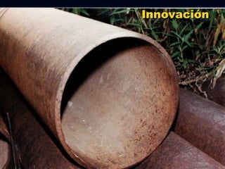 Innovación 