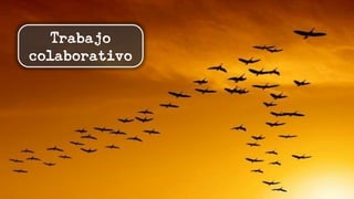 Trabajo
colaborativo
 