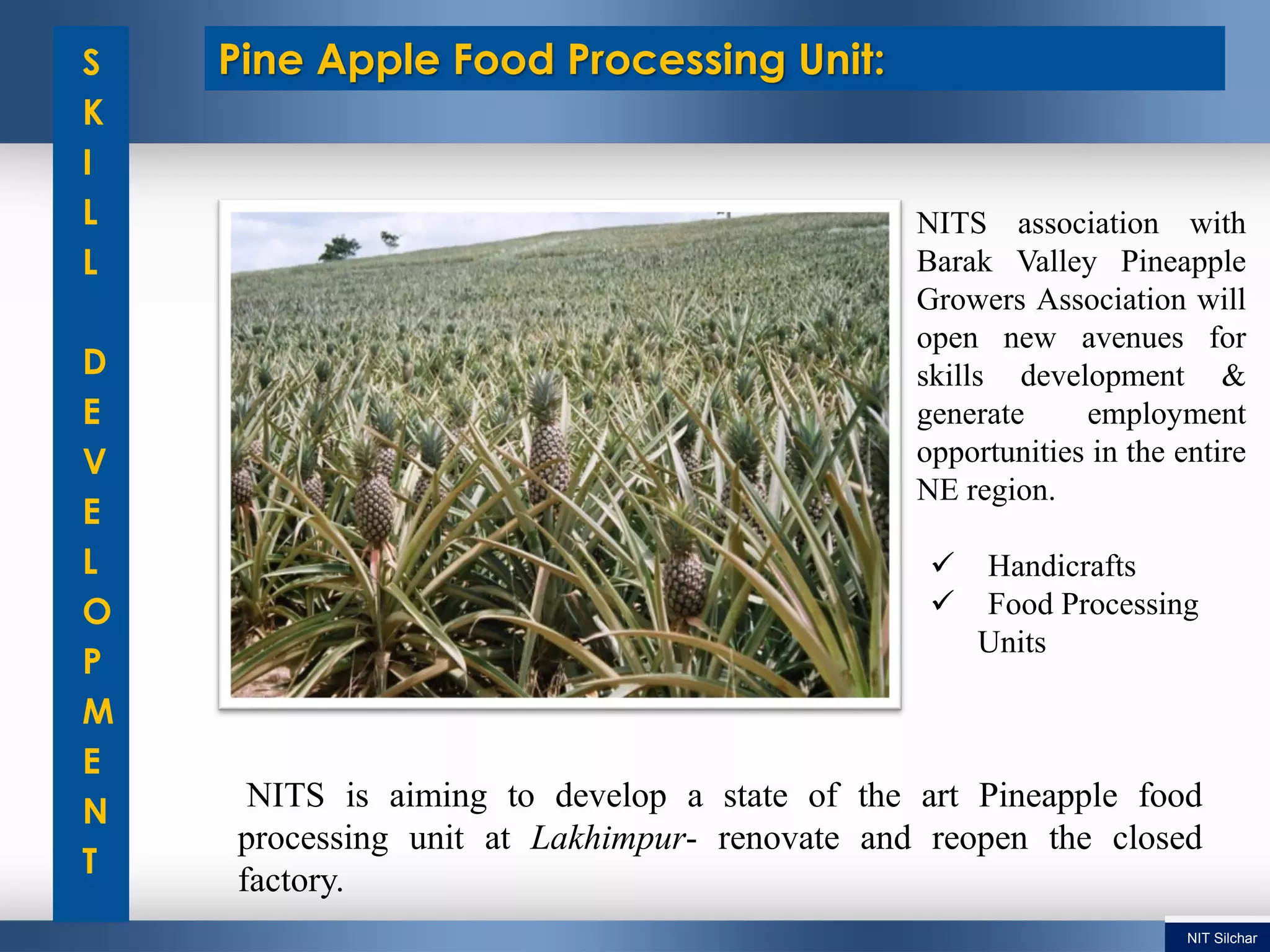 Pine Apple Food Processing Unit:
NITS association with
Barak Valley Pineapple
Growers Association will
open new avenues for
skills development &
generate employment
opportunities in the entire
NE region.
 Handicrafts
 Food Processing
Units
S
K
I
L
L
D
E
V
E
L
O
P
M
E
N
T
NITS is aiming to develop a state of the art Pineapple food
processing unit at Lakhimpur- renovate and reopen the closed
factory.
NIT Silchar
 