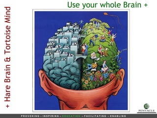 Use your whole Brain + + Hare Brain & Tortoise Mind 