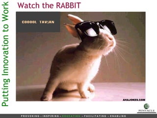 Putting Innovation to Work Watch the RABBIT COOOOL  TAV Ş AN 