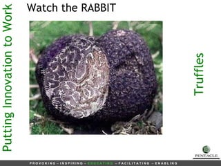 Putting Innovation to Work Watch the RABBIT Truffles 