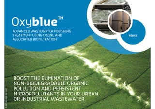 BOOST THE ELIMINATION OF
NON-BIODEGRADABLE ORGANIC
POLLUTION IN YOUR INDUSTRIAL
WASTEWATER.
Oxyblue™
REUSE
ADVANCED WASTEWATER TREATMENT FOR
POLISHING TREATMENT ASSOCIATING
OZONATION AND BIOFILTRATION
P-PPT-RU-003-EN-1107
 