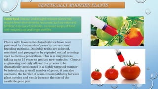 GENETICALLY MODIFIED PLANTS
Tastier food. Disease- and drought-resistant plants that
require fewer environmental resources (such as water and
fertilizer) Less use of pesticides. Increased supply of food
with reduced cost and longer shelf life.
Plants with favourable characteristics have been
produced for thousands of years by conventional
breeding methods. Desirable traits are selected,
combined and propagated by repeated sexual crossings
over numerous generations. This is a long process,
taking up to 15 years to produce new varieties.1 Genetic
engineering not only allows this process to be
dramatically accelerated in a highly targeted manner
by introducing a small number of genes, it can also
overcome the barrier of sexual incompatibility between
plant species and vastly increase the size of the
available gene pool
 