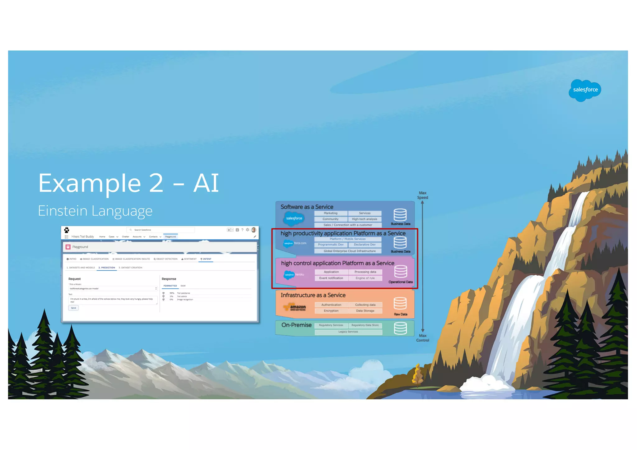 Example 2 – AI
Einstein Language
 