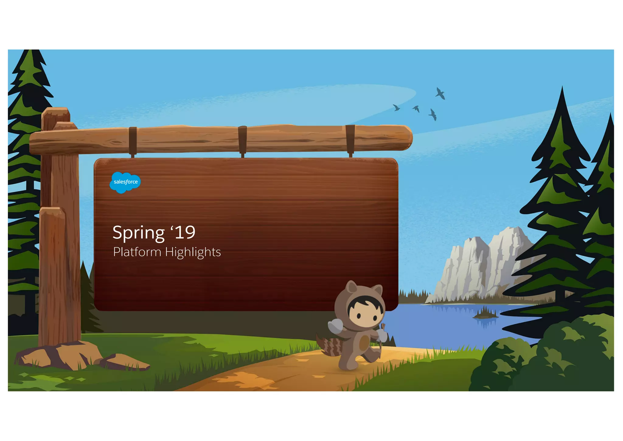 Spring ‘19
Platform Highlights
 