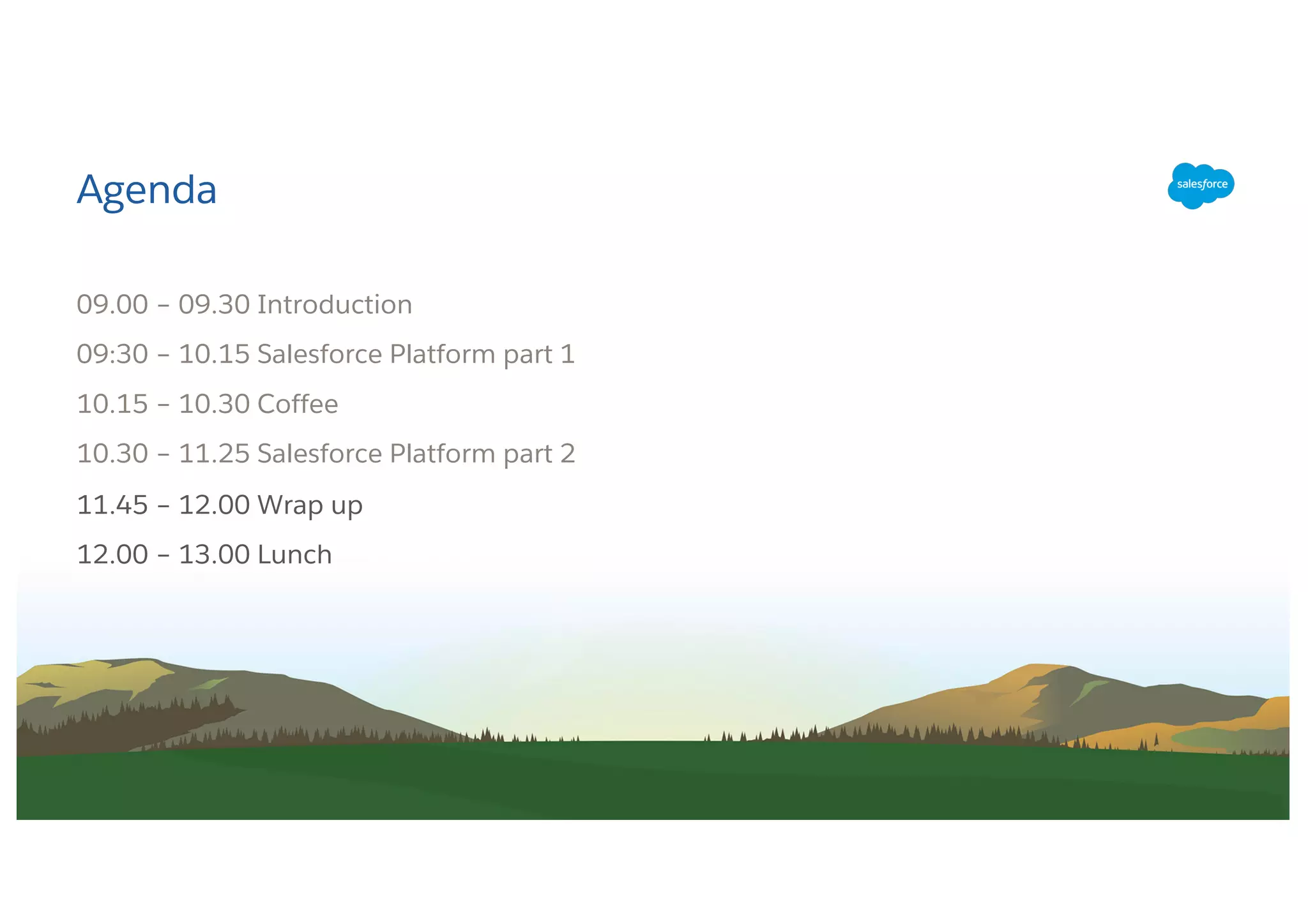 Agenda
09.00 – 09.30 Introduction
09:30 – 10.15 Salesforce Platform part 1
10.15 – 10.30 Coffee
10.30 – 11.25 Salesforce Platform part 2
11.45 – 12.00 Wrap up
12.00 – 13.00 Lunch
 