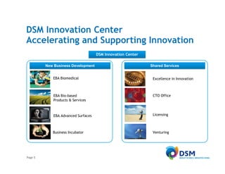 Innovation at DSM: Nanostructured Functional Coatings | PDF