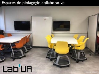 Espaces de pédagogie collaborative
Cliché : L.Dujol
 
