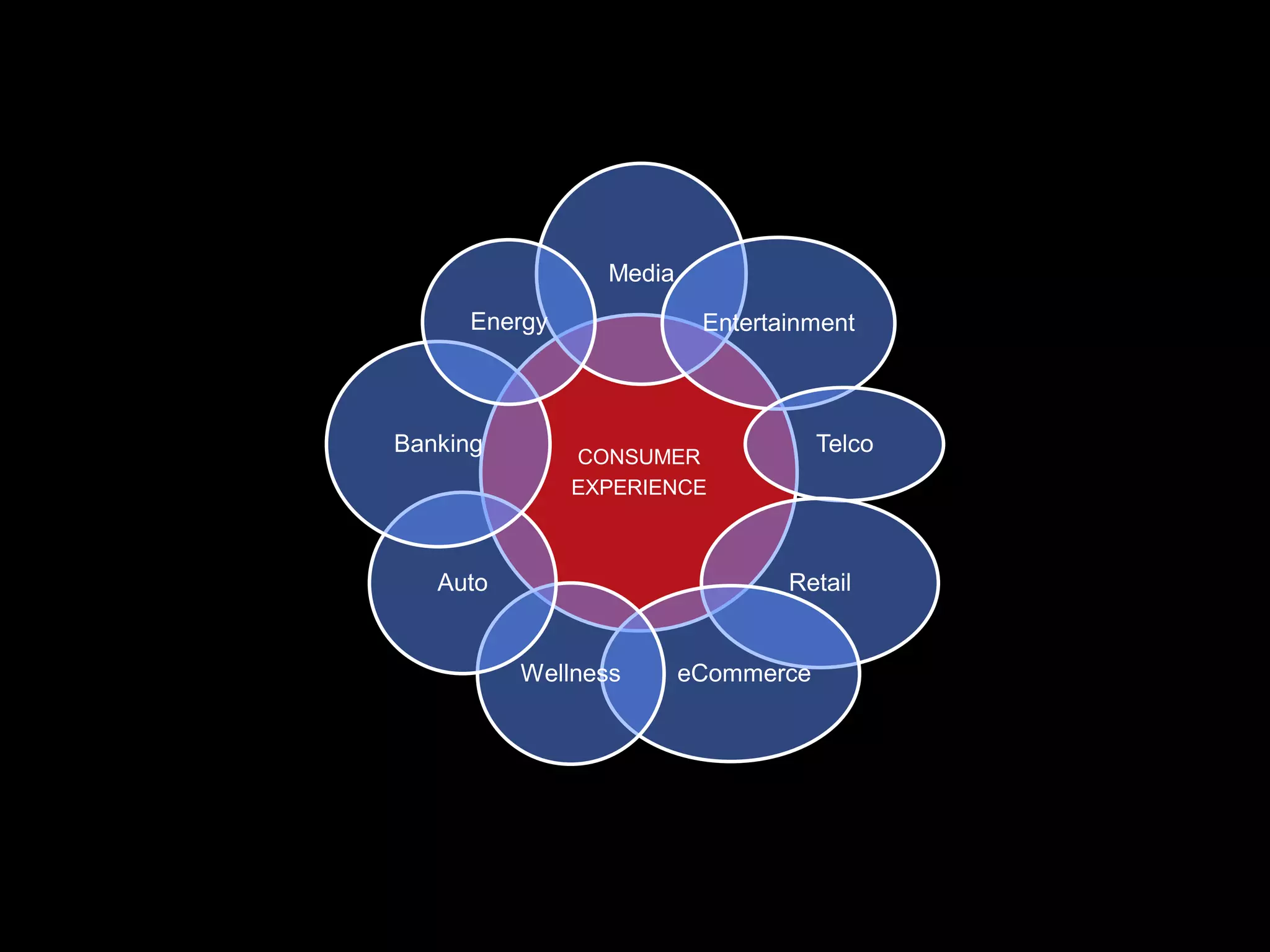 Media
      Energy              Entertainment



Banking                              Telco
               CONSUMER
               EXPERIENCE



   Auto                          Retail


          Wellness       eCommerce
 