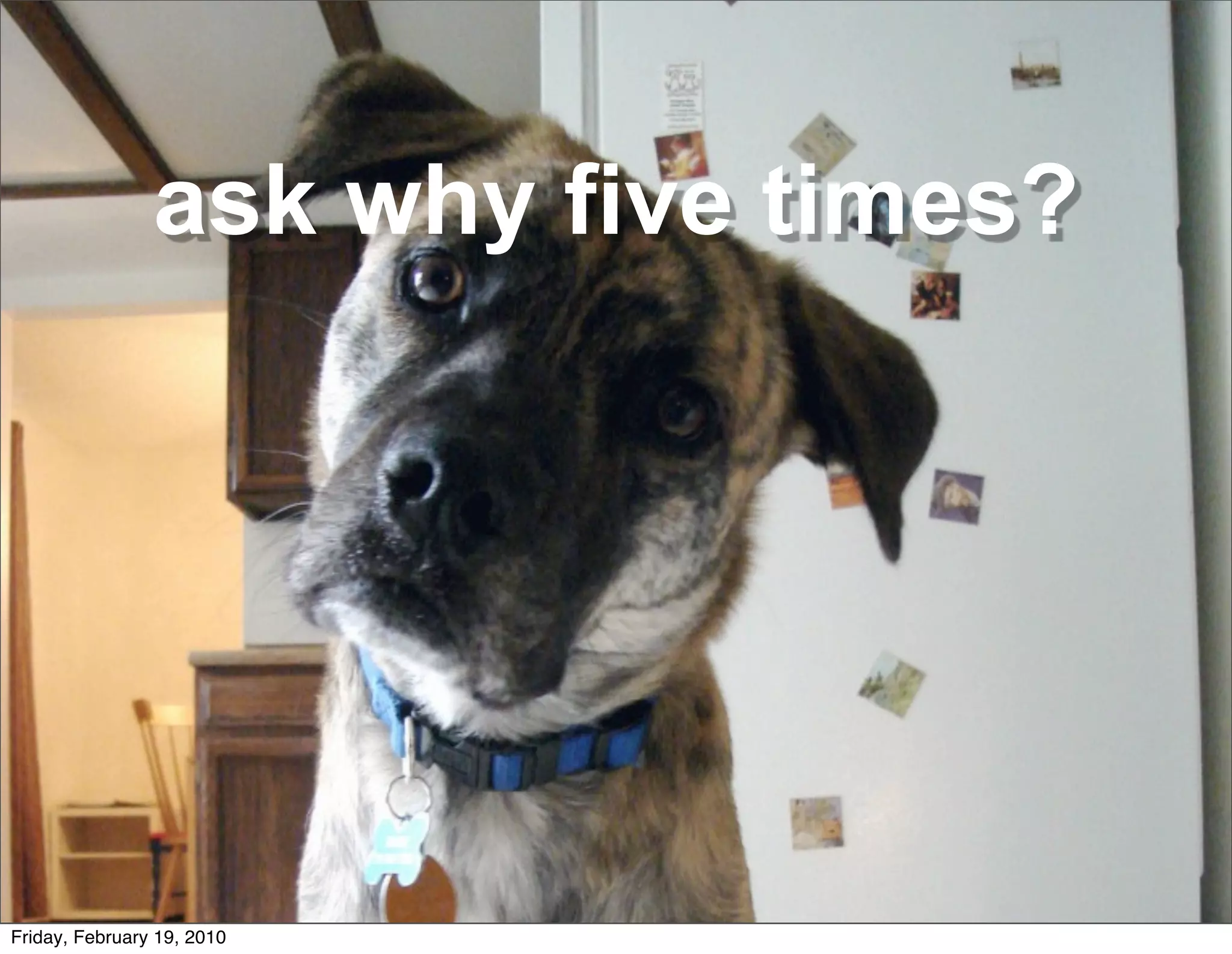 ask why five times?




Friday, February 19, 2010
 