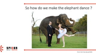 So	how	do	we	make	the	elephant	dance	?
Picture	Credit:	https://goo.gl/Hs0dNJ
 