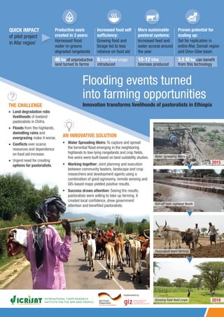 Innovation transforms livelihoods of pastoralists in Ethiopia
QUICK IMPACT
of pilot project
in Afar region*
Productive oasis
created in 3 years:
Harnessed flood
water re-greens
degraded rangelands
Increased food self
sufficiency:
Growing food and
forage led to less
reliance on food aid
More sustainable
pastoral systems:
Increased feed and
water access around
the year
Proven potential for
scaling up:
Set for replication in
entire Afar, Somali region
and Omo-Gibe basin
THE CHALLENGE
Flooding events turned
into farming opportunities
AN INNOVATIVE SOLUTION
•	 Water Spreading Weirs: To capture and spread
the torrential flood emerging in the neighboring
highlands to low-lying rangelands and crop fields,
five weirs were built based on land suitability studies.
•	 Working together: Joint planning and execution
between community leaders, landscape and crop
researchers and development agents using a
combination of good agronomy, remote sensing and
GIS-based maps yielded positive results.
•	 Success draws attention: Seeing the results,
pastoralists were willing to take up farming. It
created local confidence, drew government
attention and benefited pastoralists.
Water Spreading Weirs
2015
Run-off from highland floods
Pastoralists learn farming
Growing food-feed crops
•• Land degradation robs
livelihoods of lowland
pastoralists in Chifra.
•• Floods from the highlands,
dwindling rains and
overgrazing make it worse.
•• Conflicts over scarce
resources and dependence
on food aid increase.
•• Urgent need for creating
options for pastoralists.
3.5 M ha can benefit
from this technology
10-12 t/ha
biomass produced
8 food-feed crops
introduced
46 ha of unproductive
land turned to farms
Implemented by
2018
 