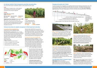Innovation transforms livelihoods of pastoralists in Ethiopia