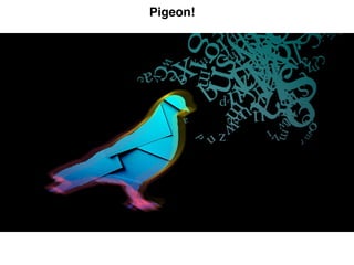 Pigeon!
 