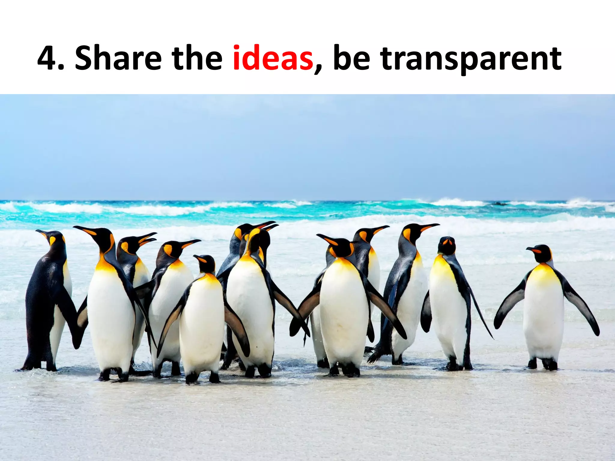 4. Share the ideas, be transparent