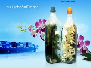 4920 มีนาคม 2557
Service & Product | Logistic
 