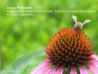 Cross-Pollinator Explores other industries and cultures.  Finds and translates observations to current organization. http://www.flickr.com/photos/306/346512198 