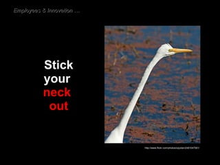 Stick your   neck  out Long neck turtle Employees & Innovation … http://www.flickr.com/photos/ozjulian/2481047561/ 