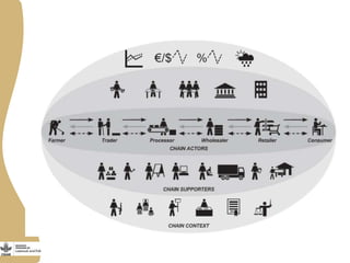 Innovation platforms in the aquaculture value chain in Egypt