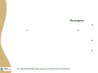 Innovation platforms in the aquaculture value chain in Egypt