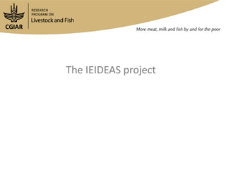 Innovation platforms in the aquaculture value chain in Egypt