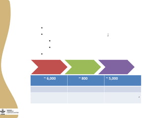 Innovation platforms in the aquaculture value chain in Egypt